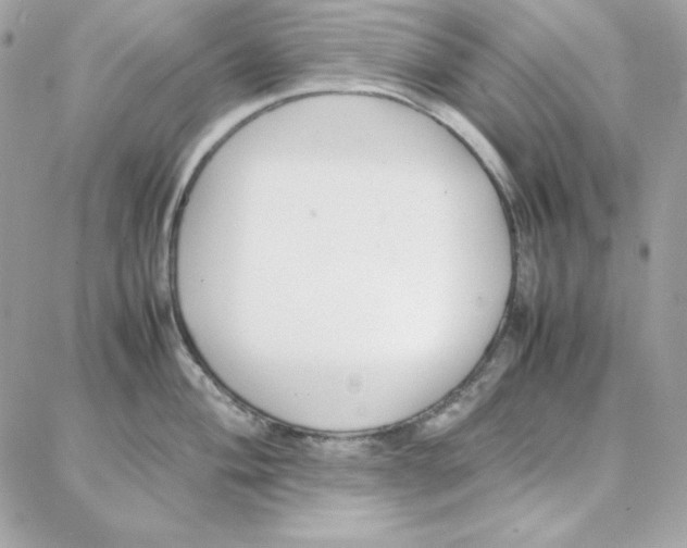 X0000087751004200706041057