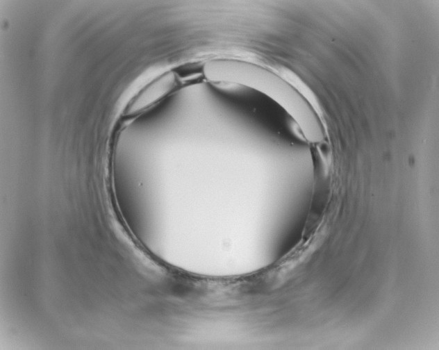 X0000087751005200706041057