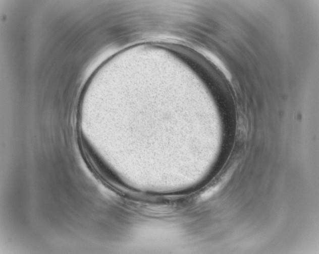 X0000087751007200706041057