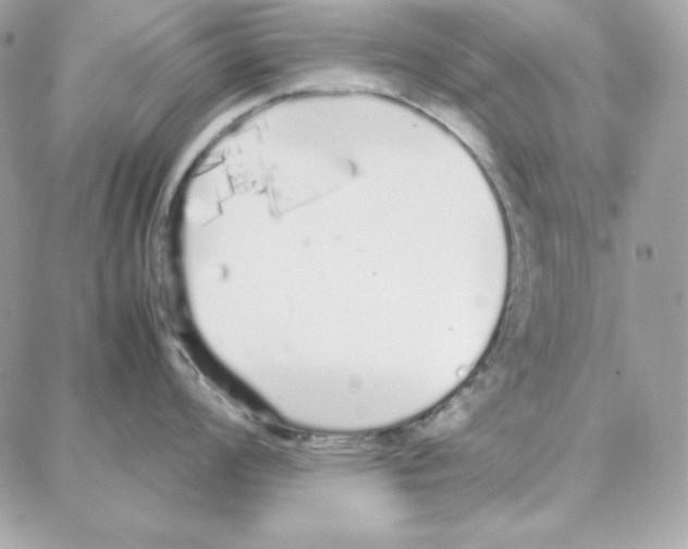 X0000087751008200706041057