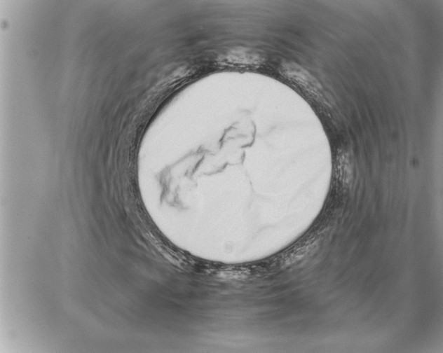 X0000087751009200706041056