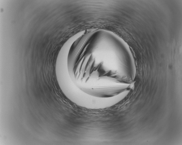 X0000087751010200706041056