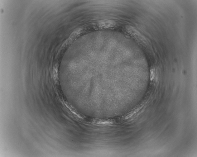 X0000087751011200706041056