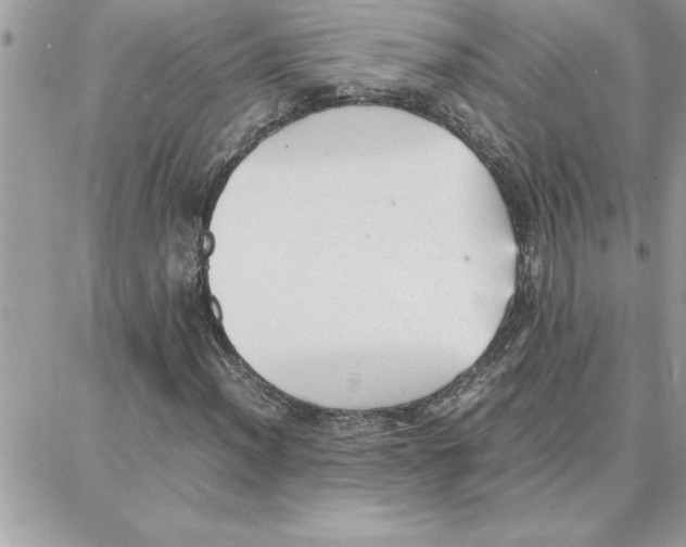 X0000087751012200706041056