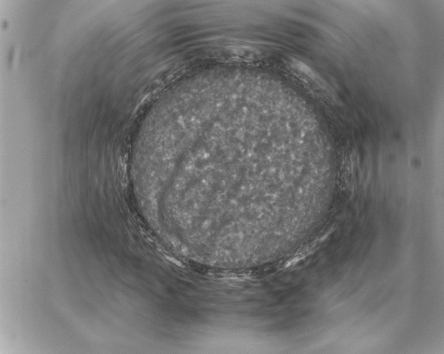 X0000087751013200706041056