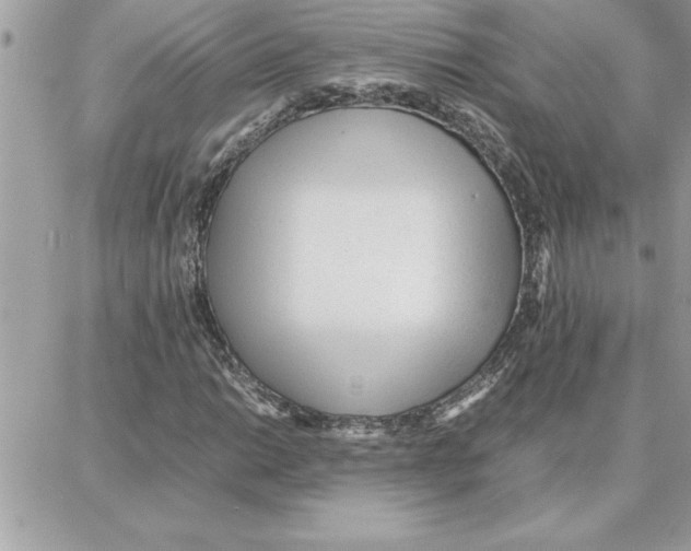 X0000087751014200706041056