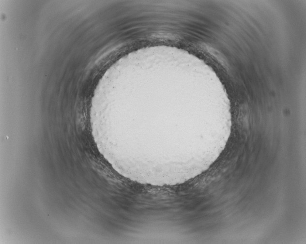 X0000087751015200706041056