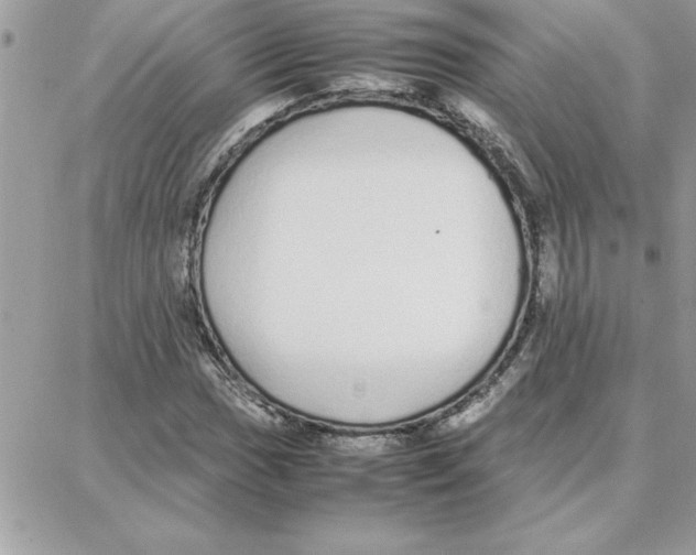 X0000087751017200706041056