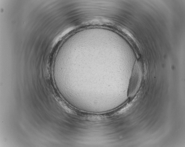 X0000087751018200706041056