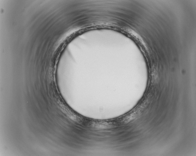 X0000087751019200706041056