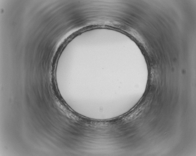 X0000087751020200706041056