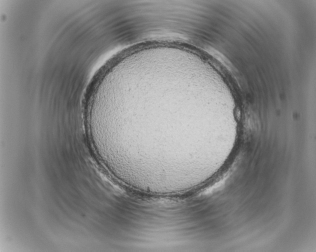 X0000087751022200706041056