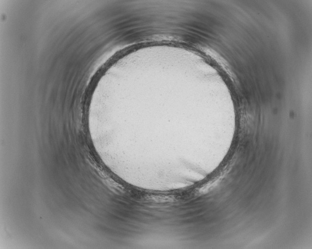 X0000087751023200706041056