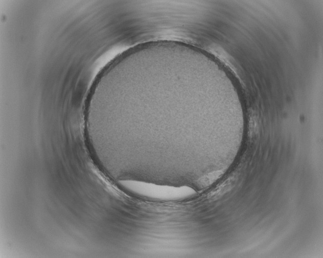 X0000087751024200706041056