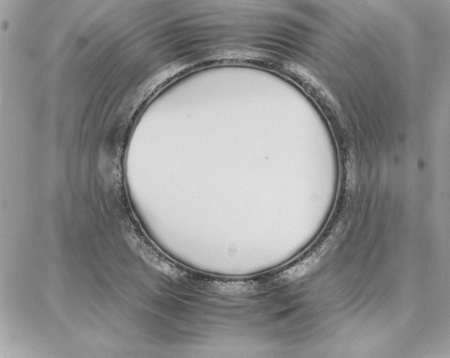 X0000087751025200706041056