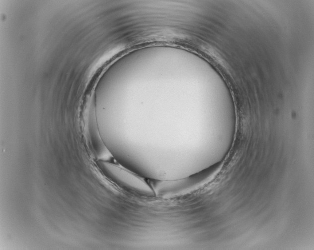 X0000087751026200706041056