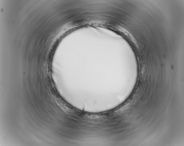 X0000087751027200706041056