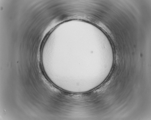 X0000087751028200706041056