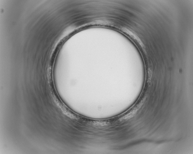 X0000087751029200706041056