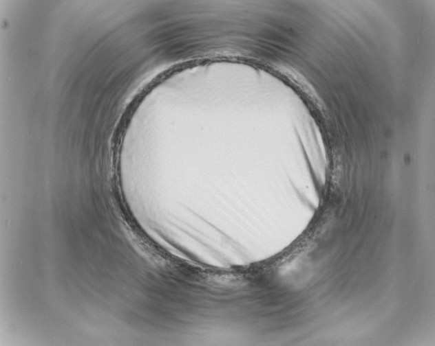 X0000087751031200706041056