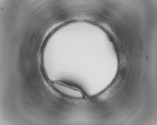 X0000087751032200706041056