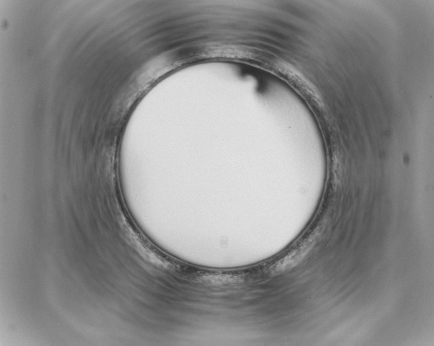 X0000087751033200706041056