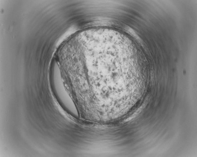 X0000087751034200706041056