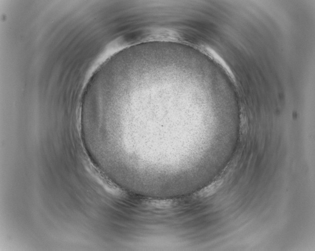 X0000087751035200706041056