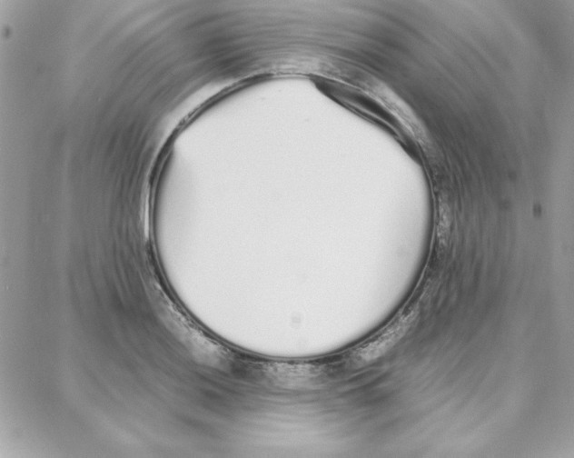 X0000087751036200706041056