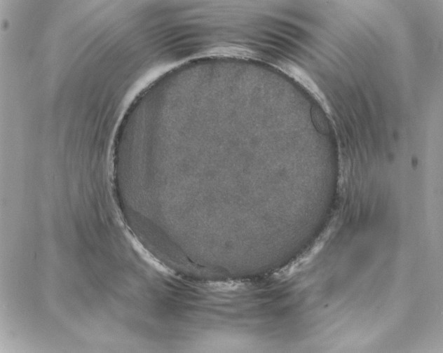 X0000087751037200706041056