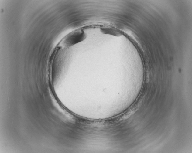 X0000087751038200706041056