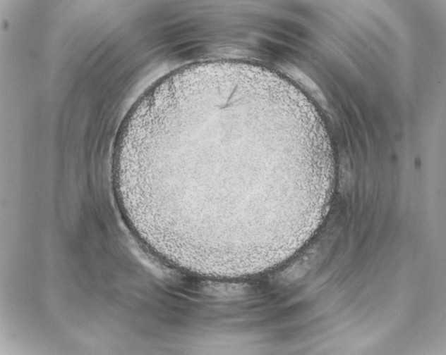 X0000087751039200706041056