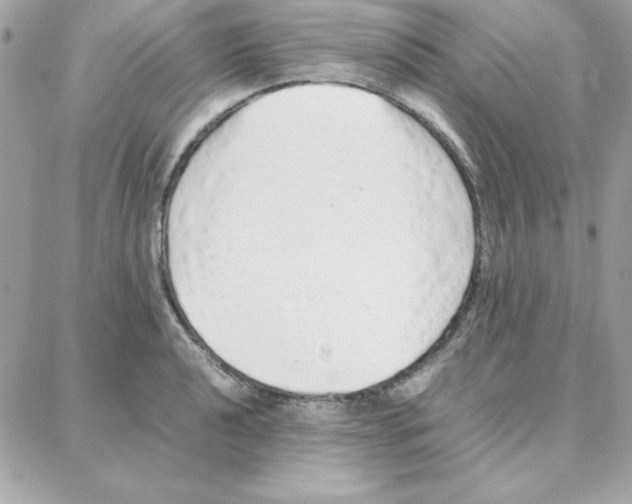 X0000087751040200706041056