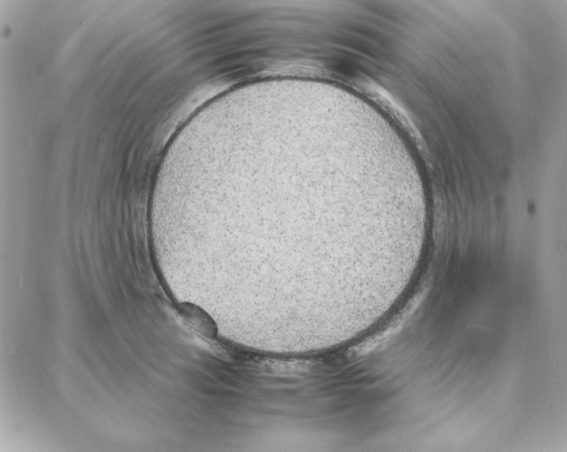 X0000087751041200706041056