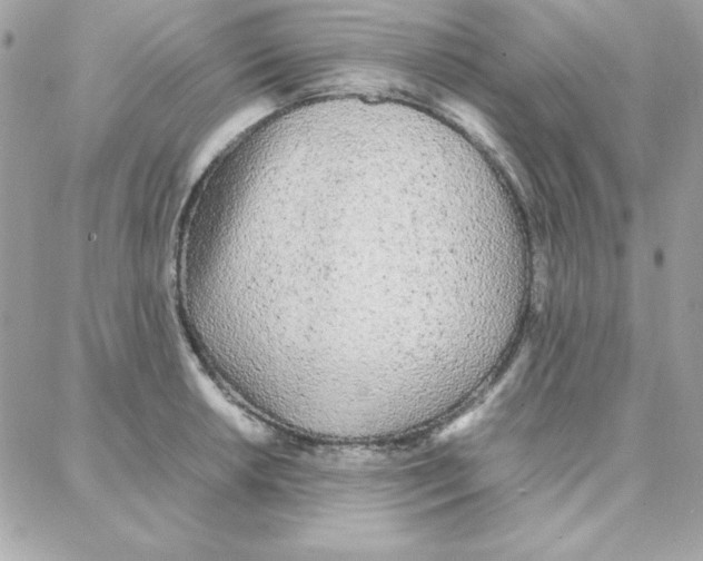 X0000087751042200706041056