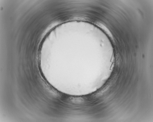 X0000087751043200706041057