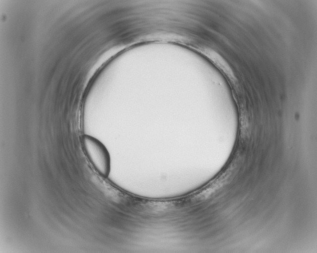 X0000087751044200706041057