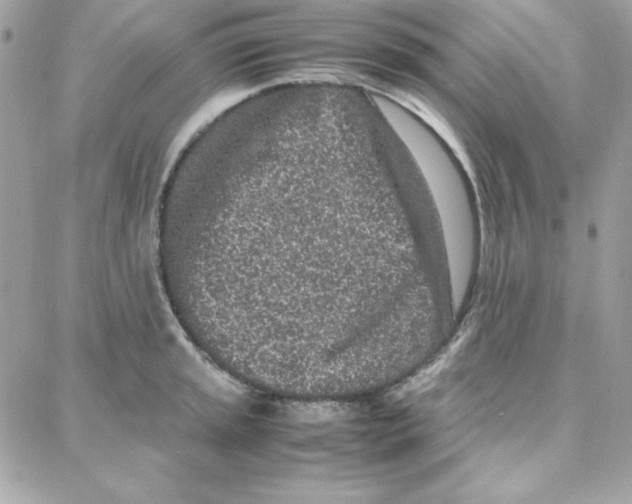 X0000087751045200706041057