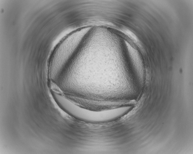 X0000087751046200706041057