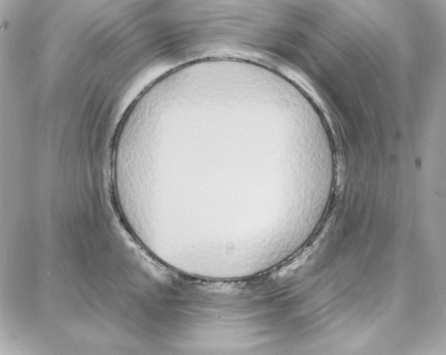 X0000087751048200706041057