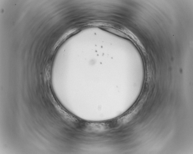 X0000087751049200706041057