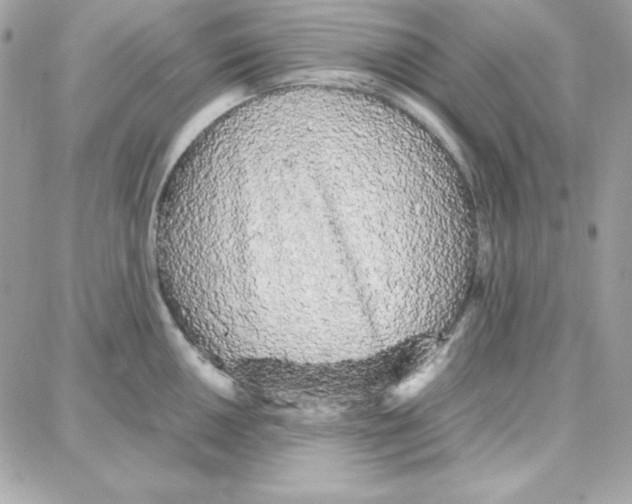 X0000087751050200706041057