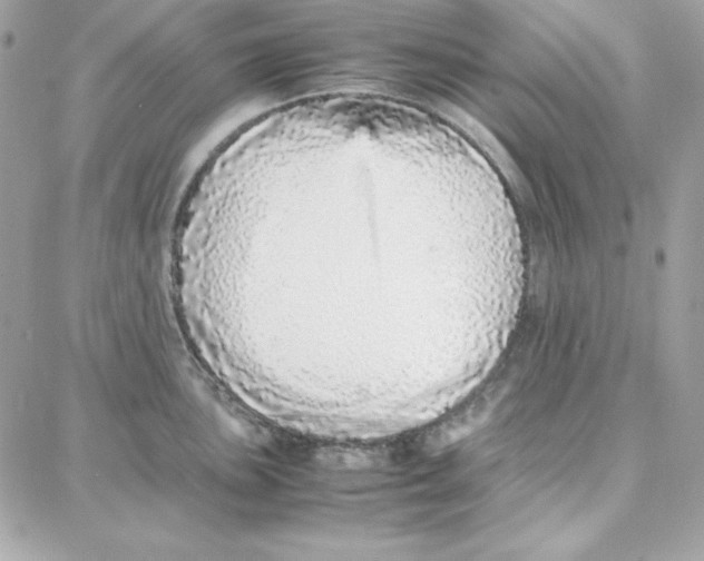 X0000087751051200706041057