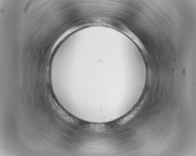 X0000087751052200706041057