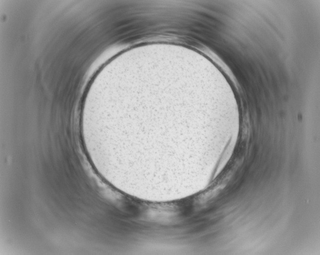 X0000087751053200706041057