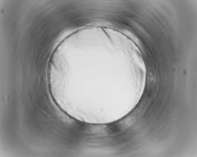 X0000087751055200706041057