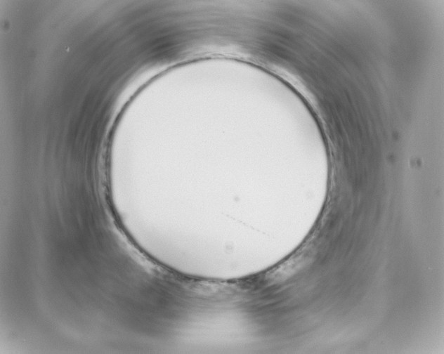 X0000087751056200706041057