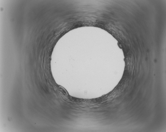 X0000087751057200706041056