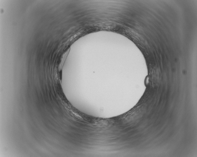 X0000087751058200706041056