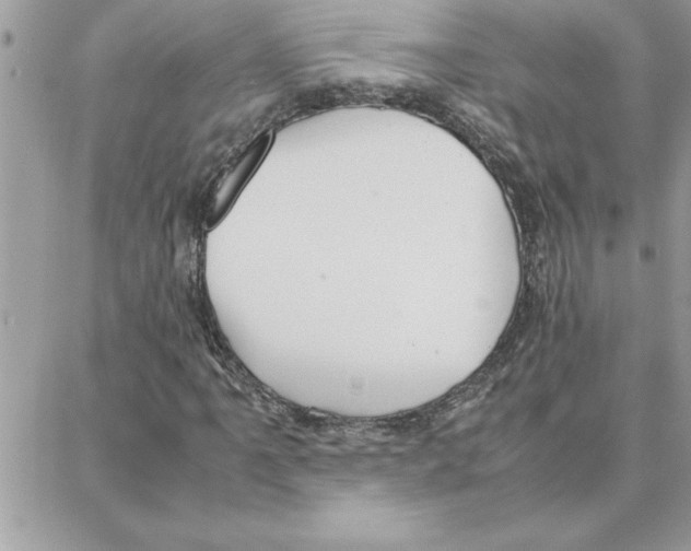 X0000087751061200706041056